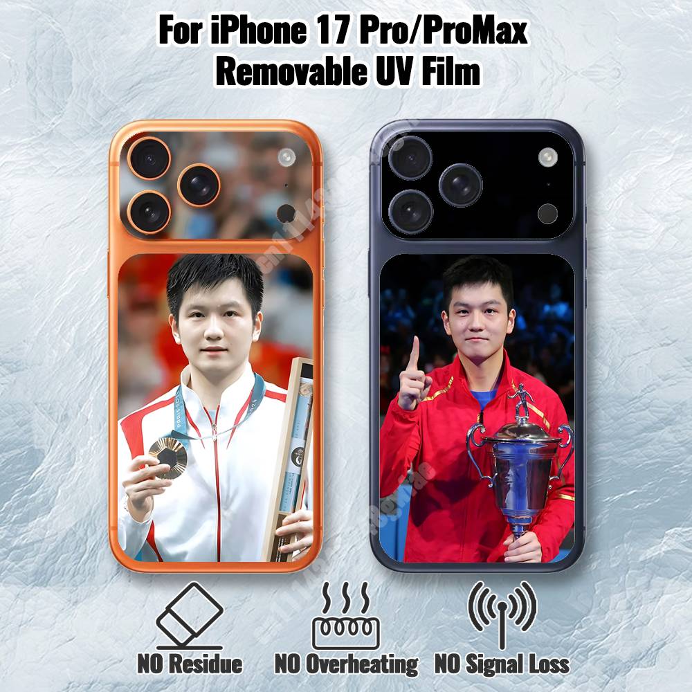 F-Fan Z-Zhendong Table Tennis  - Table Tennis Zhendong review and price