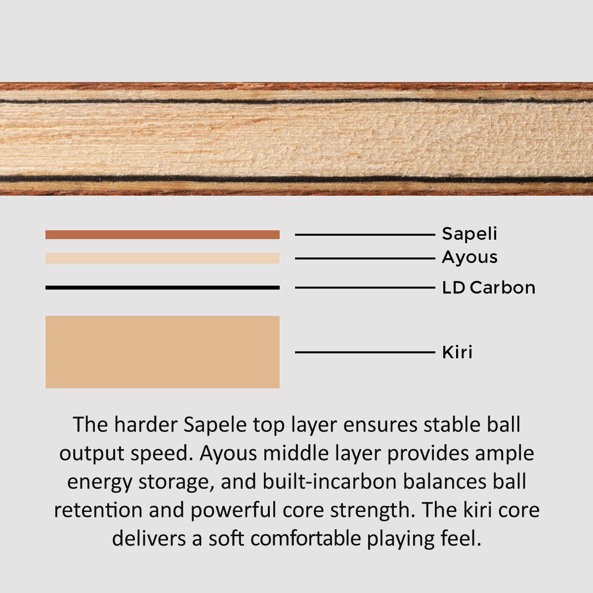 SANWEI TOKSPIN Sapele Carbon T - Table Tennis Custom Bat review and price